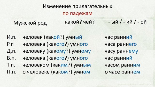Русский язык. Имя прилагательное: изменение по родам, числам, падежам. Видеоурок смотреть онлайн