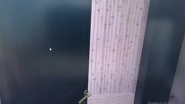 2 июля 2020 г. бытовку купить можно здесь 6X2,2 смотреть онлайн