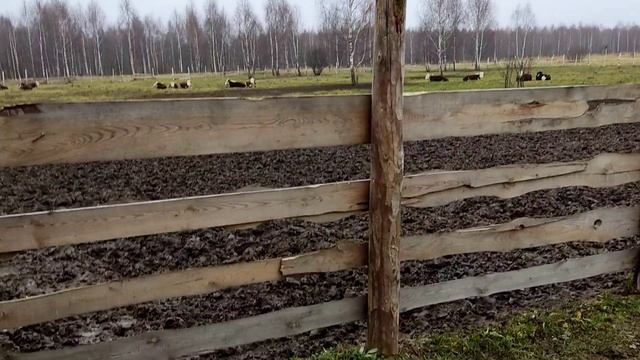 Начинаю электромонтаж начальной ферме смотреть онлайн