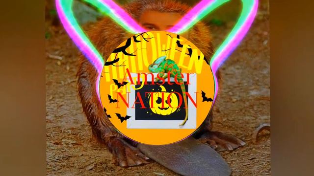 бебра я тебя люблю (Bass Boost) remix смотреть онлайн