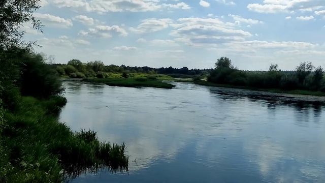 Тест петличного микрофона Ulanzi Arimic на реке Ипуть, Беларусь смотреть онлайн