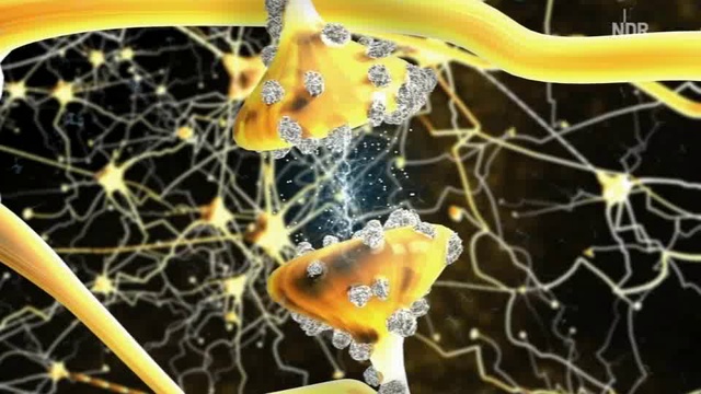 Boxen - Die Wirkung eines Kopftreffers смотреть онлайн