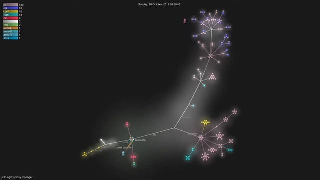 jc21/nginx-proxy-manager - Grource visualisation смотреть онлайн