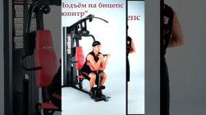 24 упражнения на мультистанции Life Gear