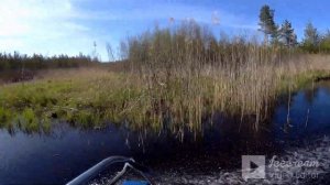 Рыбалка в Тверской области 2. Озеро Великое