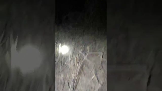 АНЕКДОТ. БАТЮШКА. смотреть онлайн