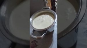 Сколько Сливок с молока Джерси и Ярославского,