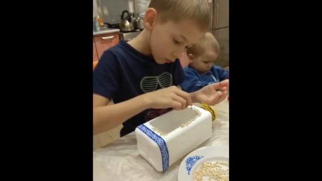 День синички смотреть онлайн