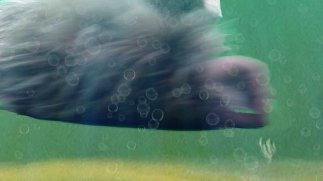 Делать мне нечего, только разных собак из реки вытаскивать! смотреть онлайн