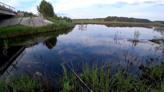 Ловля ЩУКИ на ПОВЕРХНОСТНЫЕ ПРИМАНКИ. Нашёл КЛЮЧ К УСПЕХУ. СЕРЕБРИСТЫЙ БОЧОНОК ЛУПИТ ЩУК В БОЛОТЕ. смотреть онлайн