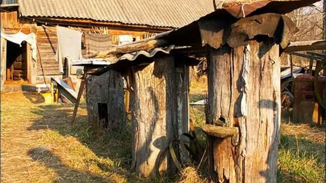 Древняя история пчеловодства смотреть онлайн