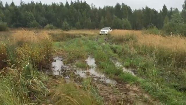 Prado 150 тест по болоту смотреть онлайн