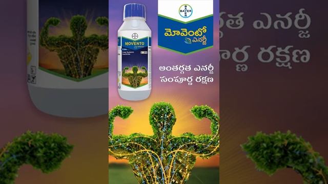 Bayer Movento Energy Telugu смотреть онлайн
