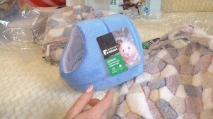 Подарки для крыс к Новому году  / зоопокупки / Алиса Изи Петс / Alisa Easy Pets