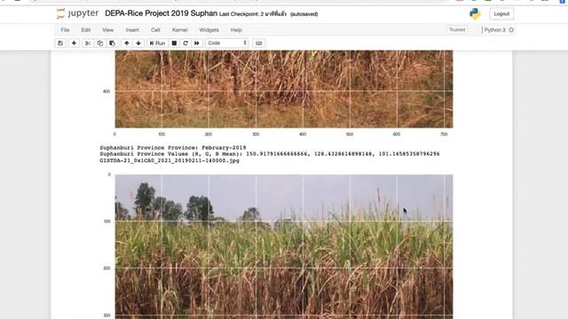 Rice Project | Update Progress | Nov 2019 смотреть онлайн