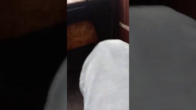 Наши будни #7 ( покатушки на ваз 2101) ПМР Тирасполь смотреть онлайн