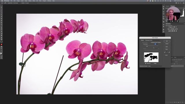 Making Selections in Photoshop Part II: Using Color Range & Channels смотреть онлайн