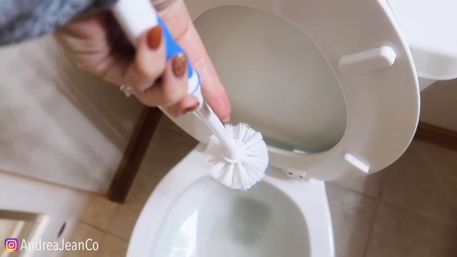 The TRUTH About WD 40 vs TOILET for Cleaning!! (The One TRICK Everyone Should KNOW?!) | Andrea Jean смотреть онлайн