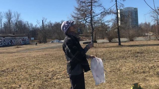 Кого больше жалко? Дерево или пенсионерку? смотреть онлайн