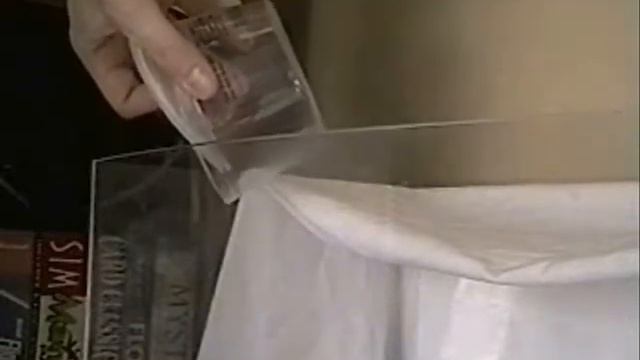 🍃 Live Action 🦗 Food Chain 🕷️ смотреть онлайн