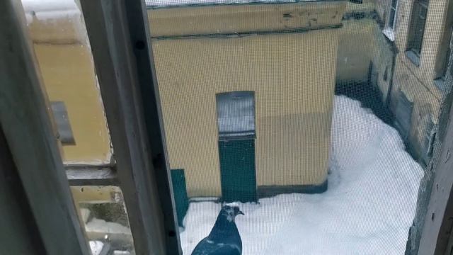 Я вчера упала и не могла встать смотреть онлайн