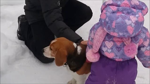 Катание на горке вместе с веселой собакой смотреть онлайн