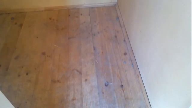 будка для собак