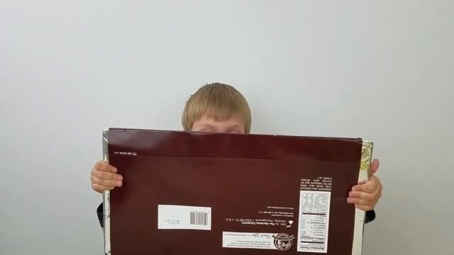 Гигантская шоколадка HERSHEY'S Giant Hershey's Bar Американские сладости Giant Candy