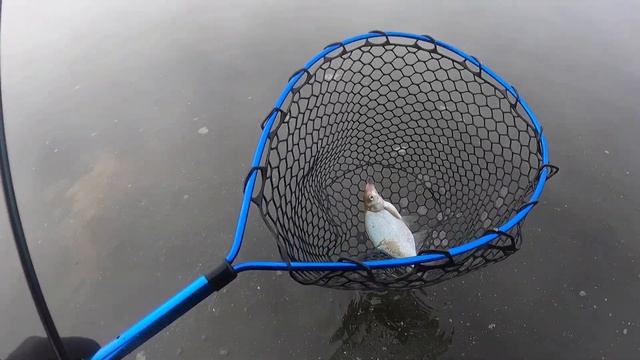 Мормышинг или Лещи на мормо смотреть онлайн