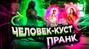 НАПУГАЛ КРАСОТОК / ЧЕЛОВЕК КУСТ ПРАНК