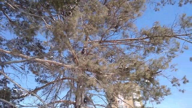 Улица Комсомольская,Воскресенский Собор,Уфа,24 марта 2021