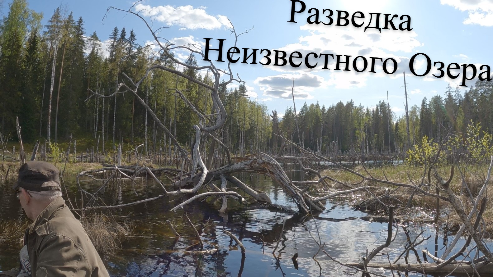 Поход к Лесному Озеру/Лосиха Оставила Лосят.. QHD