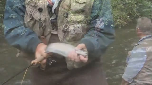 Rifle River Recreation Area (Heart of Michigan Circle Tour 05) смотреть онлайн