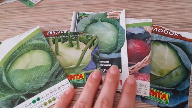 Просроченные семена капусты