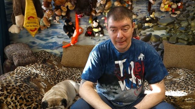 Почему в аквариуме так много мелких улиток? смотреть онлайн