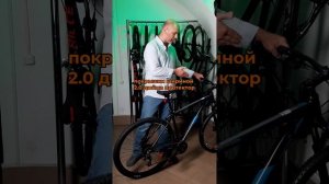 Велосипед Stinger Graphite Evo 29» (2023).