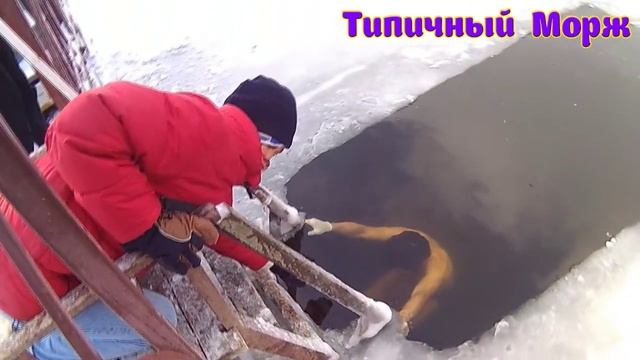 1 января 2016 начинается не с кофе смотреть онлайн