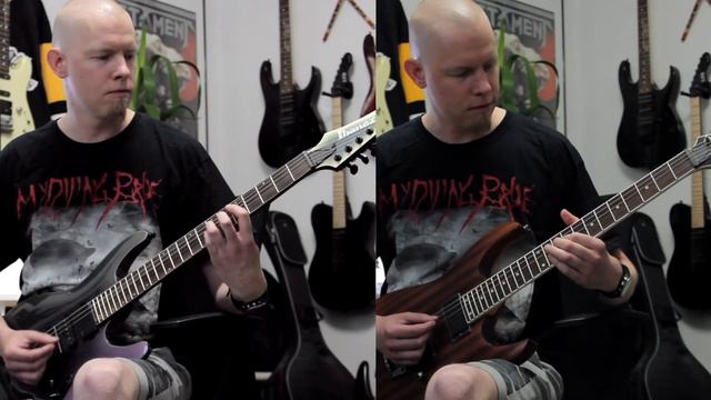 HANDS OF REASON - an instrumental PARADISE LOST cover смотреть онлайн