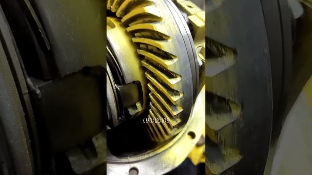 Сузуки смотреть онлайн