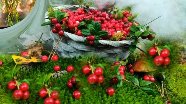 Clip: HOW I WANT TO LOVE YOU Клип: КАК ХОЧЕТСЯ ТЕБЯ ЛЮБИТЬ смотреть онлайн