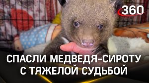 В клинском парке львов «Земля прайда» спасли медвежонка с тяжелой судьбой