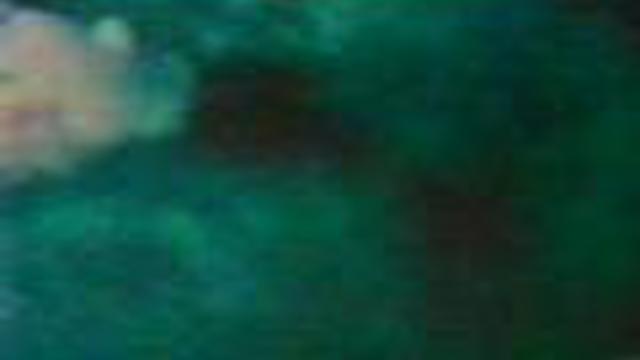 Любительская съёмка НЛО UFO Silver Springs Maryland 1966 смотреть онлайн