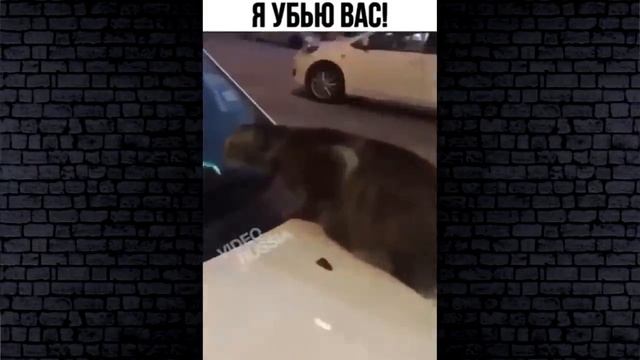 ПРИКОЛЫ 2019 ЛУЧШЕЕ ЧУДИКИ ИЗ СОЦСЕТЕЙ #71?ЛЮТЫЕ ПРИКОЛЫ РЖАКА ДО СЛЕЗ смотреть онлайн