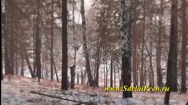 Заготовка дров смотреть онлайн