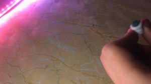 Как сделать маркер для теггинга \ делаем мини сквизер