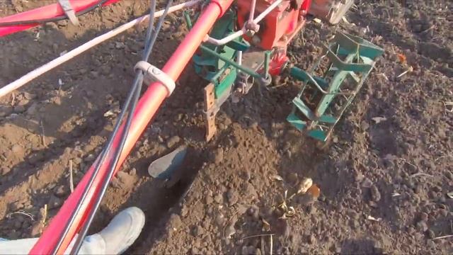 КАК ПОСАДИТЬ ЧЕСНОК ПОД МОТОБЛОК смотреть онлайн