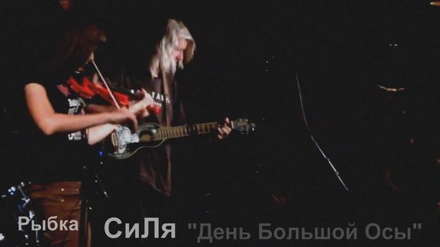 СиЛя и Рыбка - ДЕНЬ БОЛЬШОЙ ОСЫ! смотреть онлайн