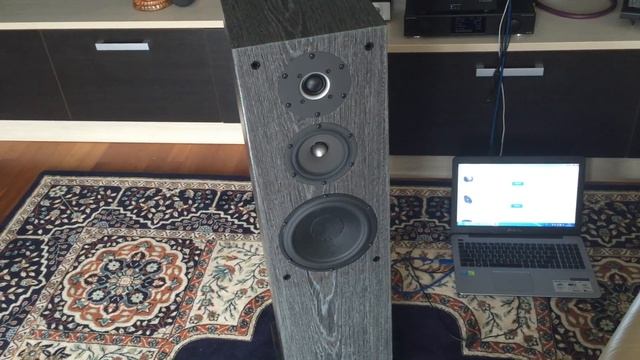 ОБЗОР акустической системы ASP Loudspeakers "REVELATION REFERENCE SE" смотреть онлайн