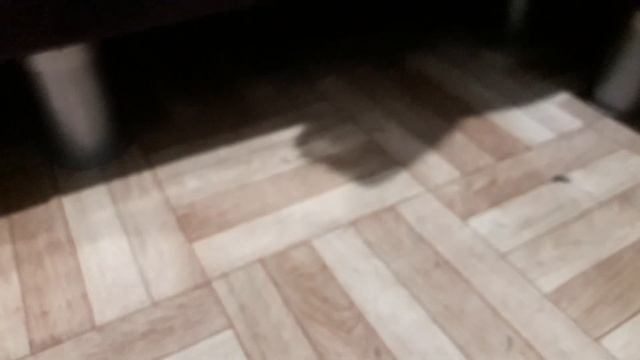 Как избавиться от мышей навсегда За 03 минуты! смотреть онлайн