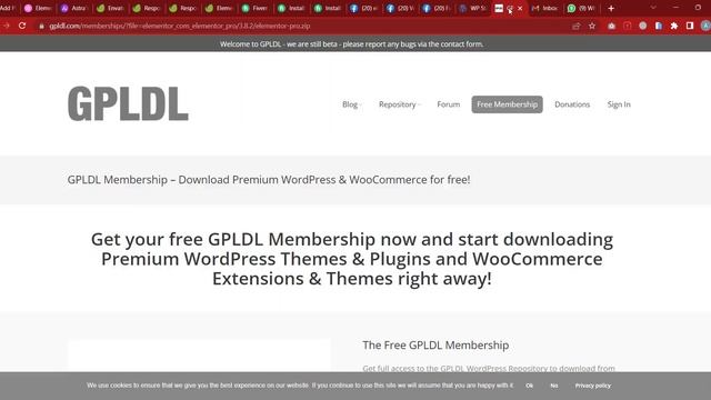 How to get Elementor Pro and Astra Pro with huge Discount - Class 27 смотреть онлайн